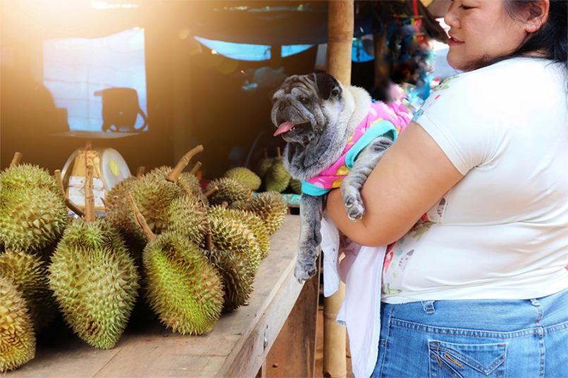 Asian buying durian with dog